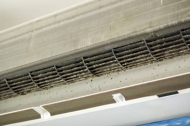 Air Duct Mold Removal in Oronoque, CT